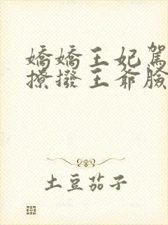 娇娇王妃驾到:撩拨王爷脸红心跳