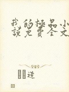 我的极品小姨小说免费全文阅读封面