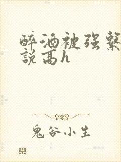 醉酒被强系列小说高h