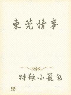 东莞情事