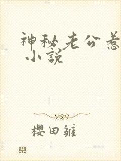 神秘老公惹不得 小说