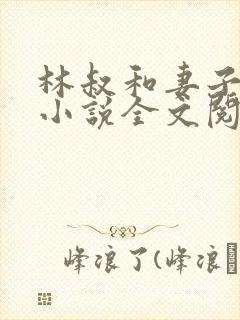 林叔和妻子苏黎小说全文阅读