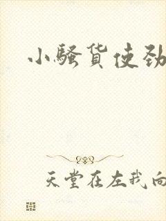 小骚货使劲叫啊