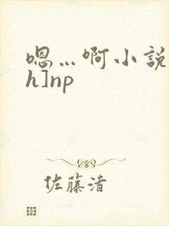 嗯…啊小说[高h]np