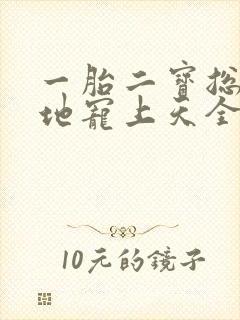 一胎二宝总裁爹地宠上天全文免费阅读封面