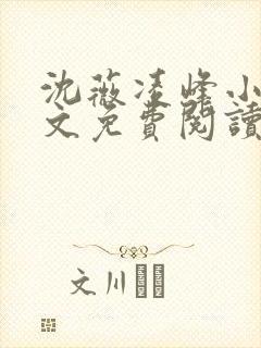 沈薇凌峰小说全文免费阅读最新章节