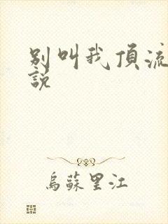 别叫我顶流 小说