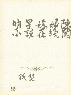 明星媳妇陈法蓉小说在线阅读