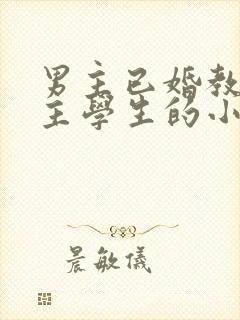 男主已婚教授女主学生的小说