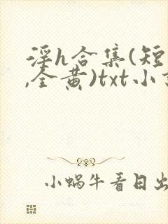 淫h合集(短篇,全黄)txt小说