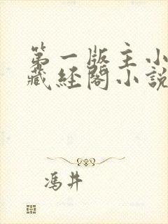 第一版主小说网藏经阁小说网