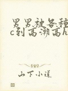 男男被各种姿势c到高潮高h封面