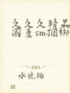 久久久精品调教国产sm捆绑