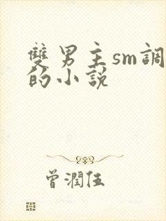 双男主sm调教的小说