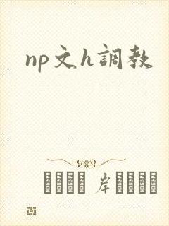 np文h调教