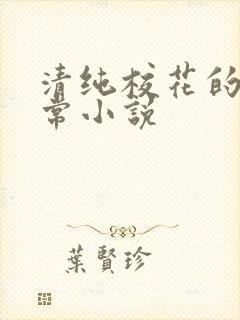 清纯校花的被日常小说