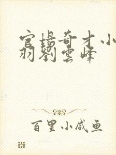 官场奇才小说陆羽刘云峰