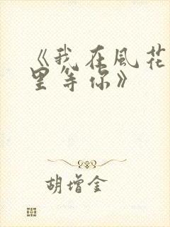 《我在风花雪月里等你》封面