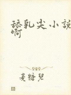 舔乳尖小说啊啊啊封面
