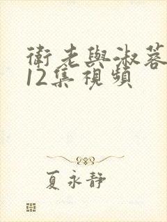 卫老与淑蓉7一12集视频