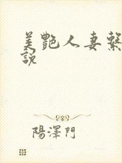 美艳人妻系列小说