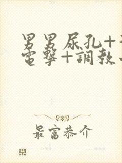 男男尿孔+灌+电击+调教小说