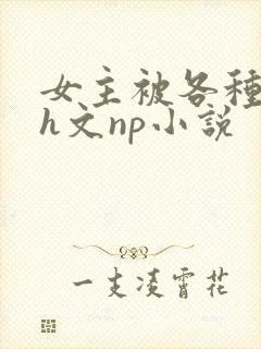 女主被各种调教h文np小说