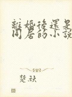 离婚后还是选择同居的小说一枝独秀