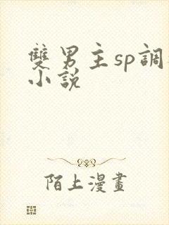 双男主sp调教小说
