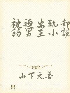 被迫出轨却上瘾的男主小说