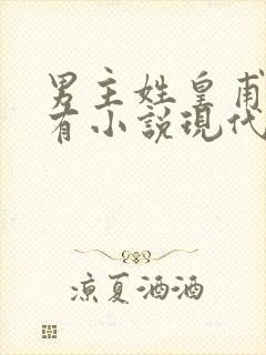 男主姓皇甫的所有小说现代言情