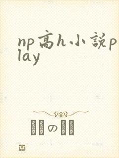 np高h小说play封面