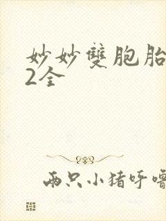 妙妙双胞胎1-2全封面