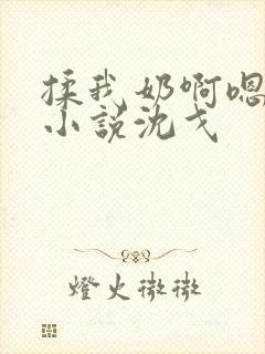 揉我奶啊嗯高潮小说沈戈封面