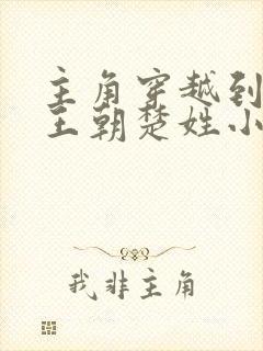 主角穿越到大楚王朝楚姓小说封面