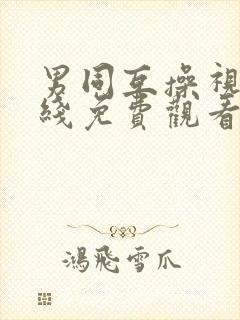 男同互操视频在线免费观看