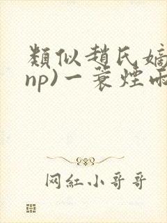 类似赵氏嫡女(np)一蓑烟雨