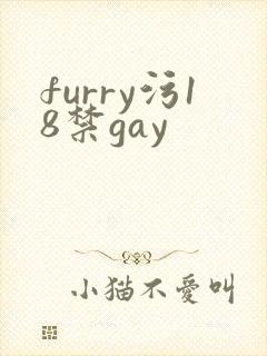furry污18禁gay