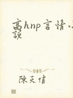 高hnp言情小说