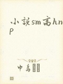 小说sm高hnp封面