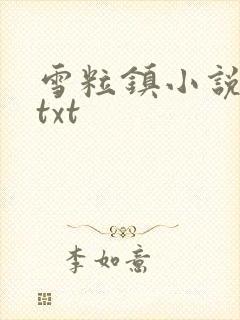 雪粒镇小说全文txt