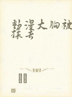 动漫大胸被揉来揉去