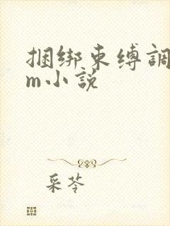 捆绑束缚调教sm小说封面