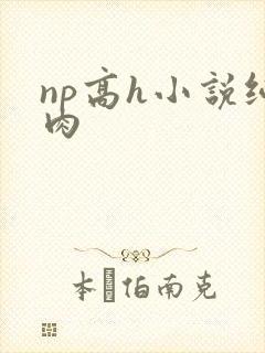 np高h小说纯肉