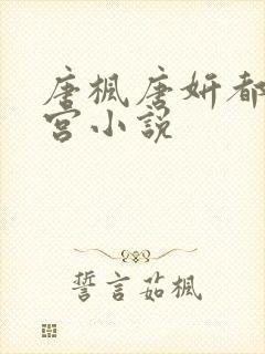 唐枫唐妍都市后宫小说封面