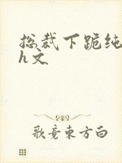 总裁下跪纯肉高h文