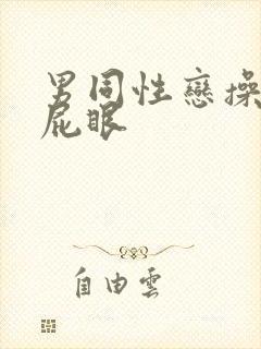 男同性恋操男人屁眼