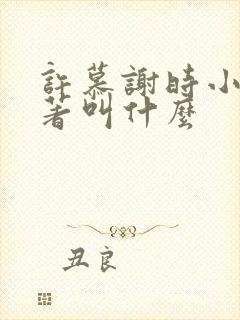 许慕谢时小说原著叫什么封面