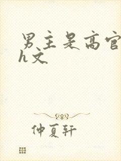 男主是高官的肉h文封面