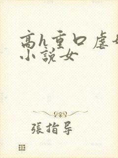 高h重口虐奶头小说女封面